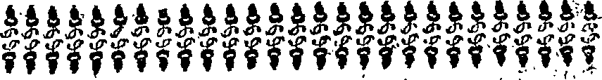 033/033840030001480_1.png