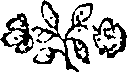 033/033840050003220_0.png