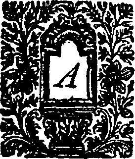 033/033900080000020_1.png