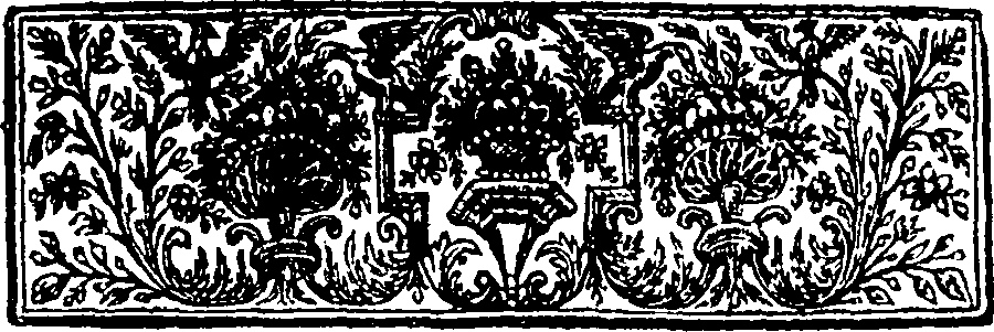 033/033900080000020_2.png