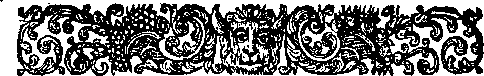 033/033900080000040_1.png