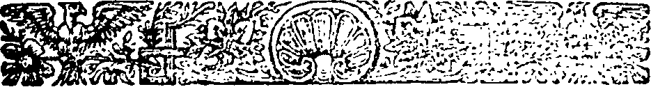 033/033900080000790_0.png