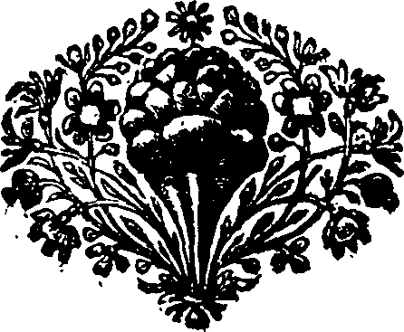 033/033900080002700_0.png