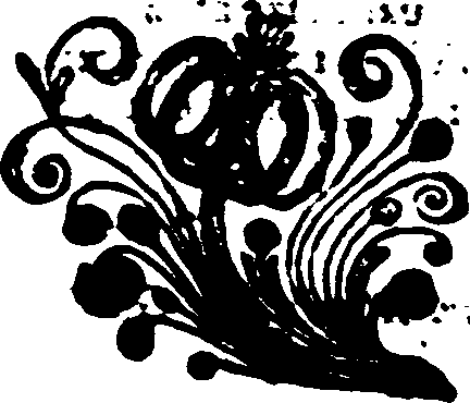 033/033970160000690_0.png