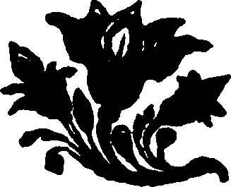 033/033970160000740_0.png