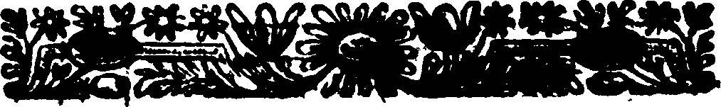 033/033970160001260_1.png