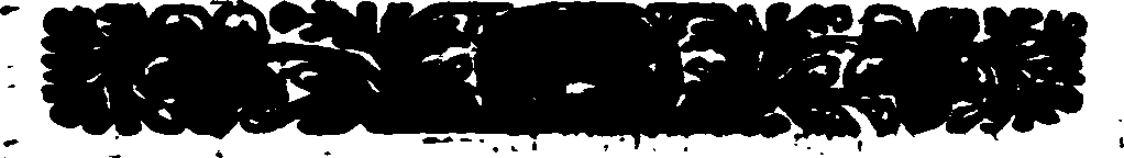 033/033970160001290_2.png