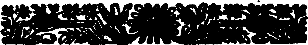 033/033970160001360_4.png