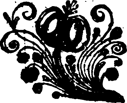 033/033970160001440_0.png
