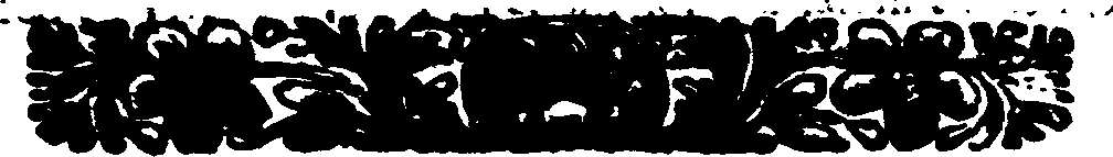 033/033970160001450_1.png