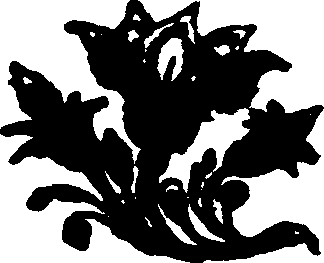 033/033970160001470_0.png
