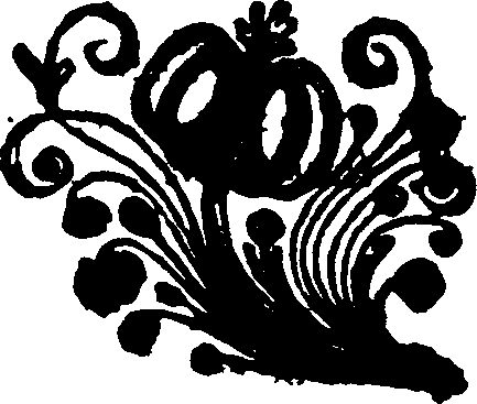 033/033970160001720_0.png