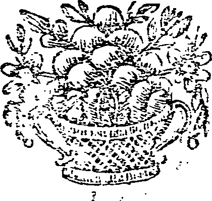 034/034000190000470_0.png