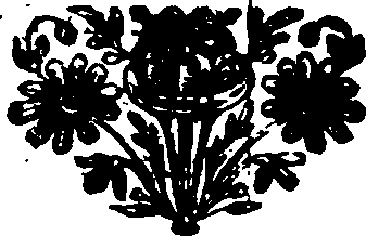 034/034040010001760_0.png