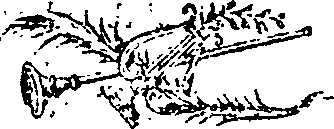 034/034110150000010_0.png
