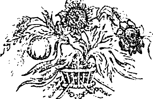 034/034120040000520_0.png