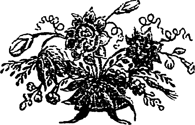 034/034120040000740_1.png