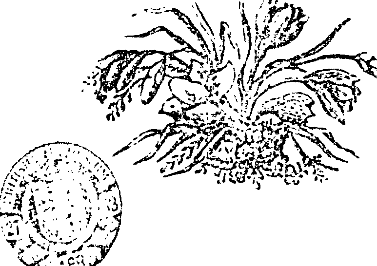 034/034120040000760_0.png