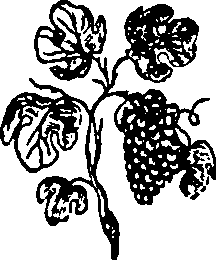034/034160260000140_0.png