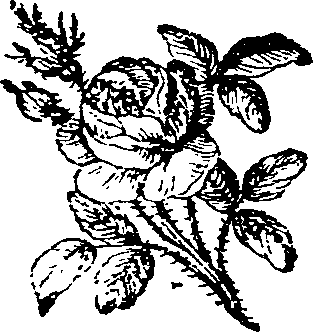034/034210070001610_0.png
