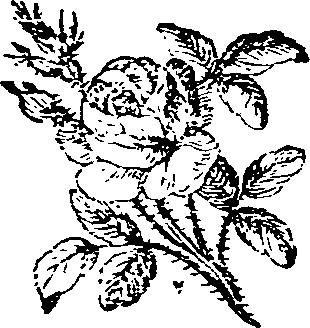 034/034210070002250_0.png