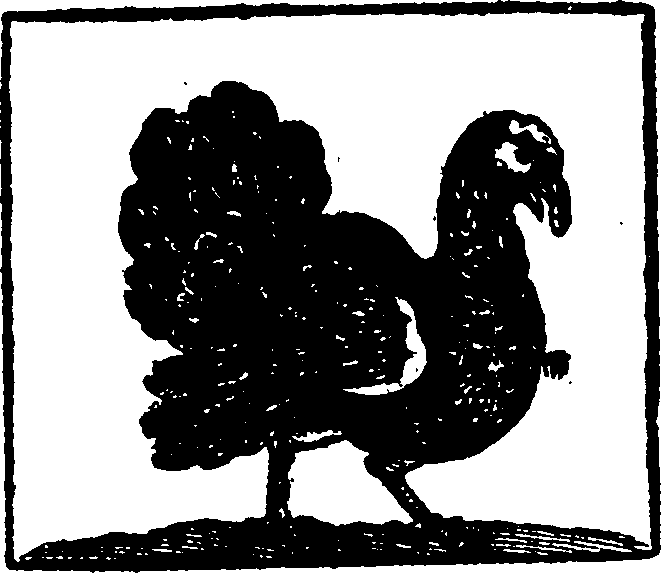 034/034220020000770_0.png