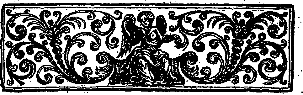 034/034230010000040_2.png