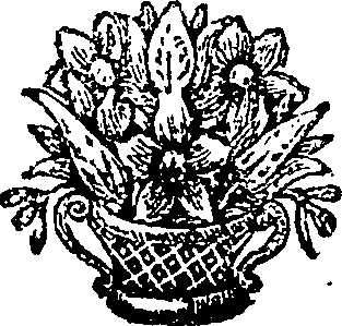 034/034240070002580_0.png