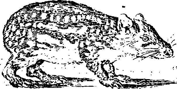 034/034260010400590_0.png