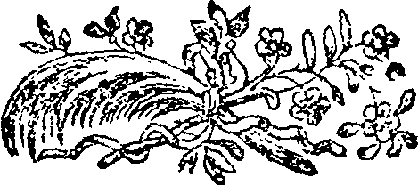 034/034350130000020_1.png