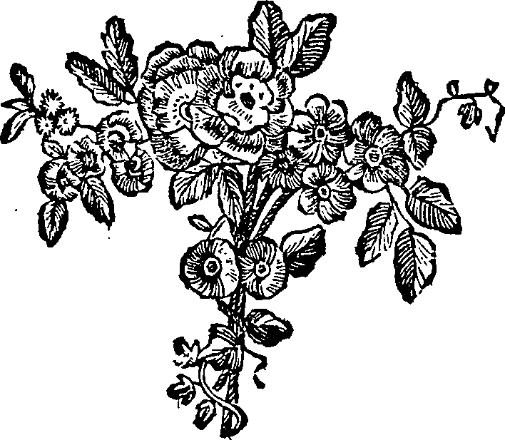034/034370100000020_0.png