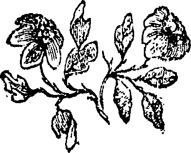 034/034370140000180_0.png