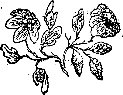 034/034370140000320_0.png