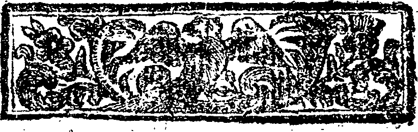 034/034470060000250_0.png