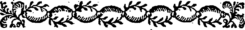 034/034610110200100_0.png