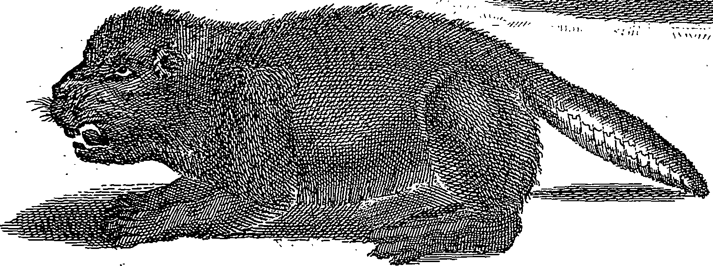 034/034640020202340_0.png