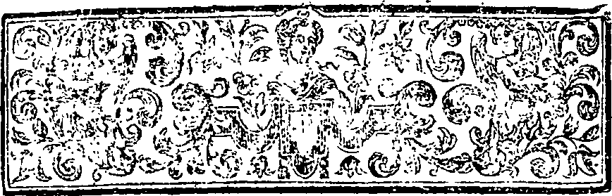 034/034750020000020_2.png