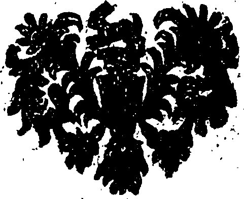 034/034850160000640_0.png