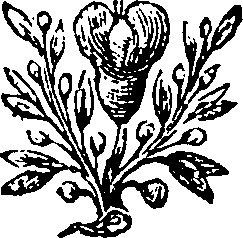 034/034860010002980_0.png