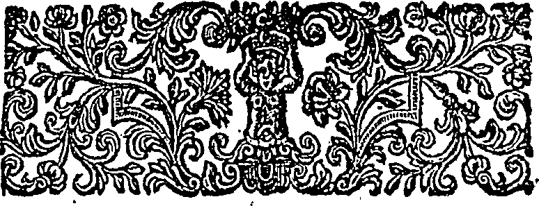 034/034970010800020_1.png