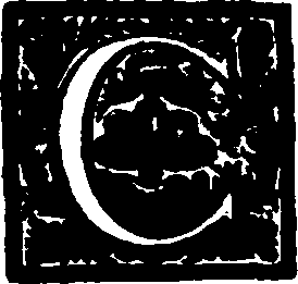 035/035010080000030_0.png
