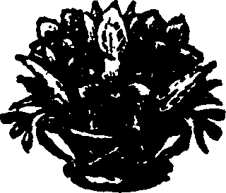 035/035020060000120_0.png