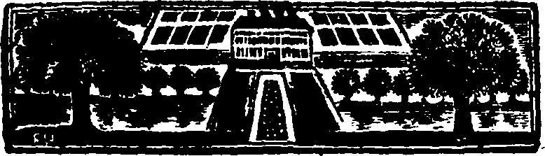 035/035020060000450_2.png