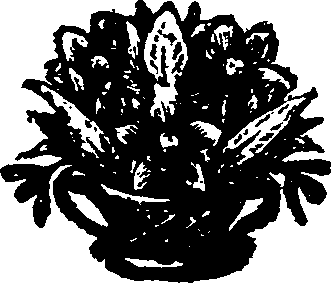 035/035020060003860_0.png