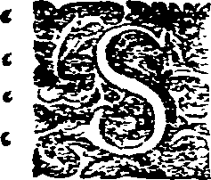 035/035070110002260_0.png