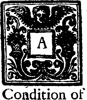 035/035080010000380_0.png