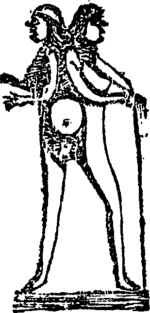 035/035340030001000_0.png