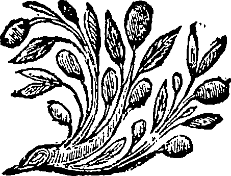 035/035440090005390_0.png