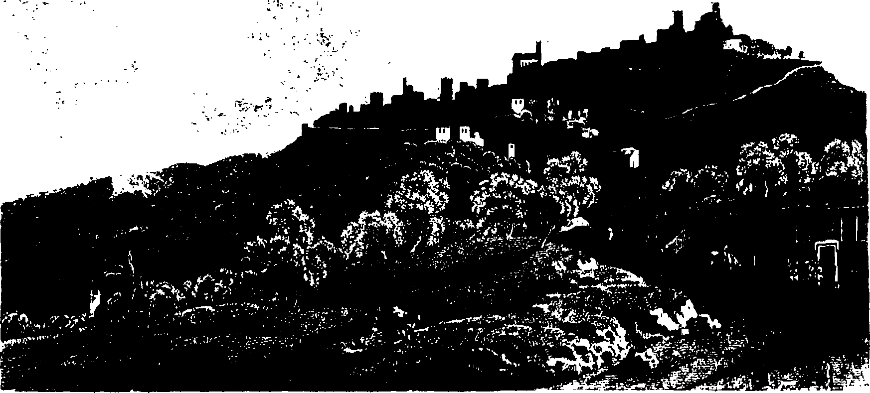 035/035480030100590_0.png