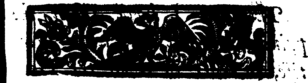 035/035570090000030_1.png